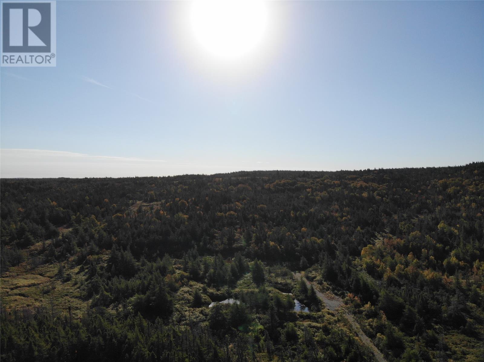800a Country Road, Bay Roberts, Newfoundland & Labrador  A0A 1G0 - Photo 9 - 1291227