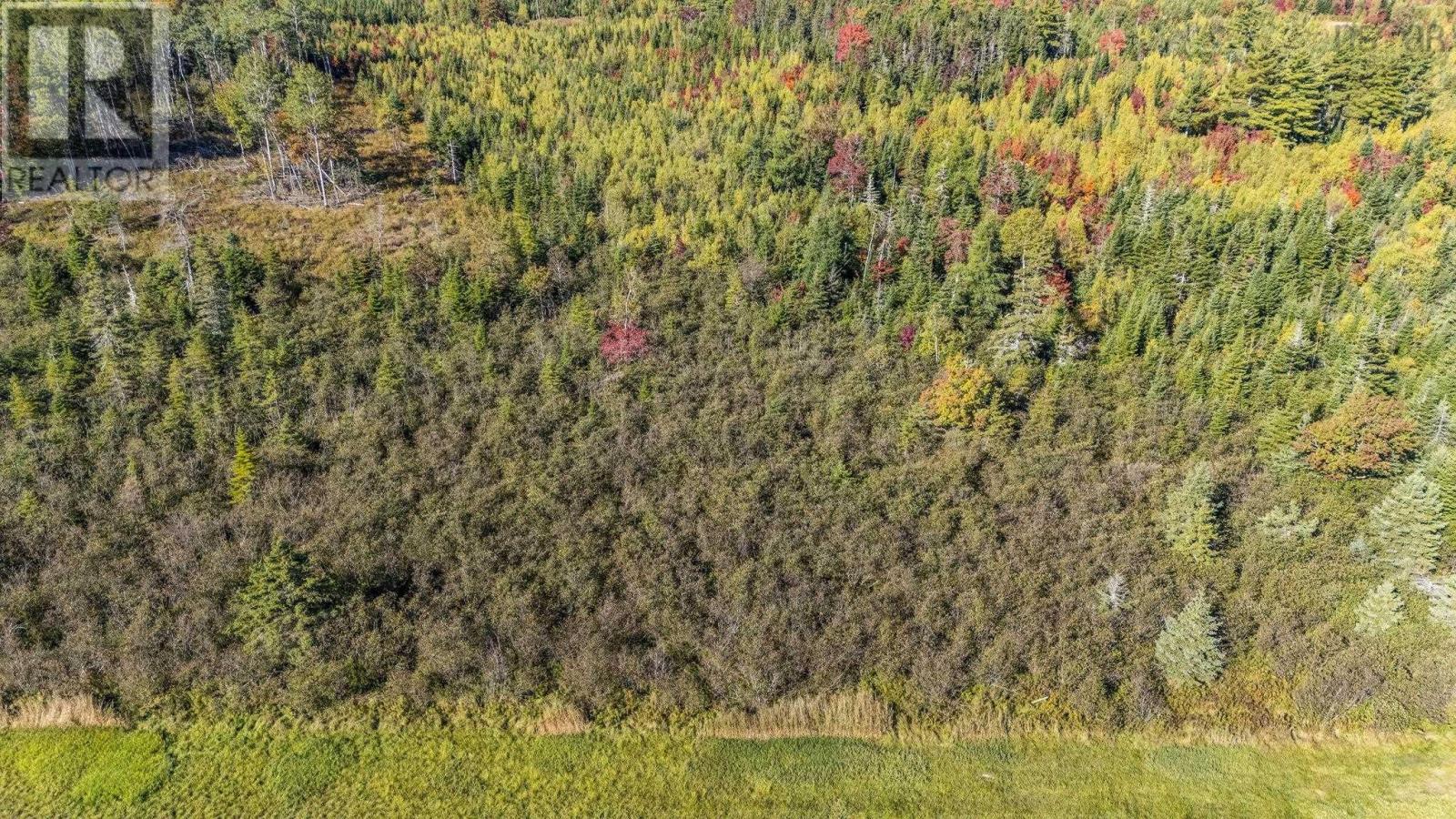 Lot Cloverdale Road, Cloverdale, Nova Scotia  B0N 2J0 - Photo 26 - 202524530