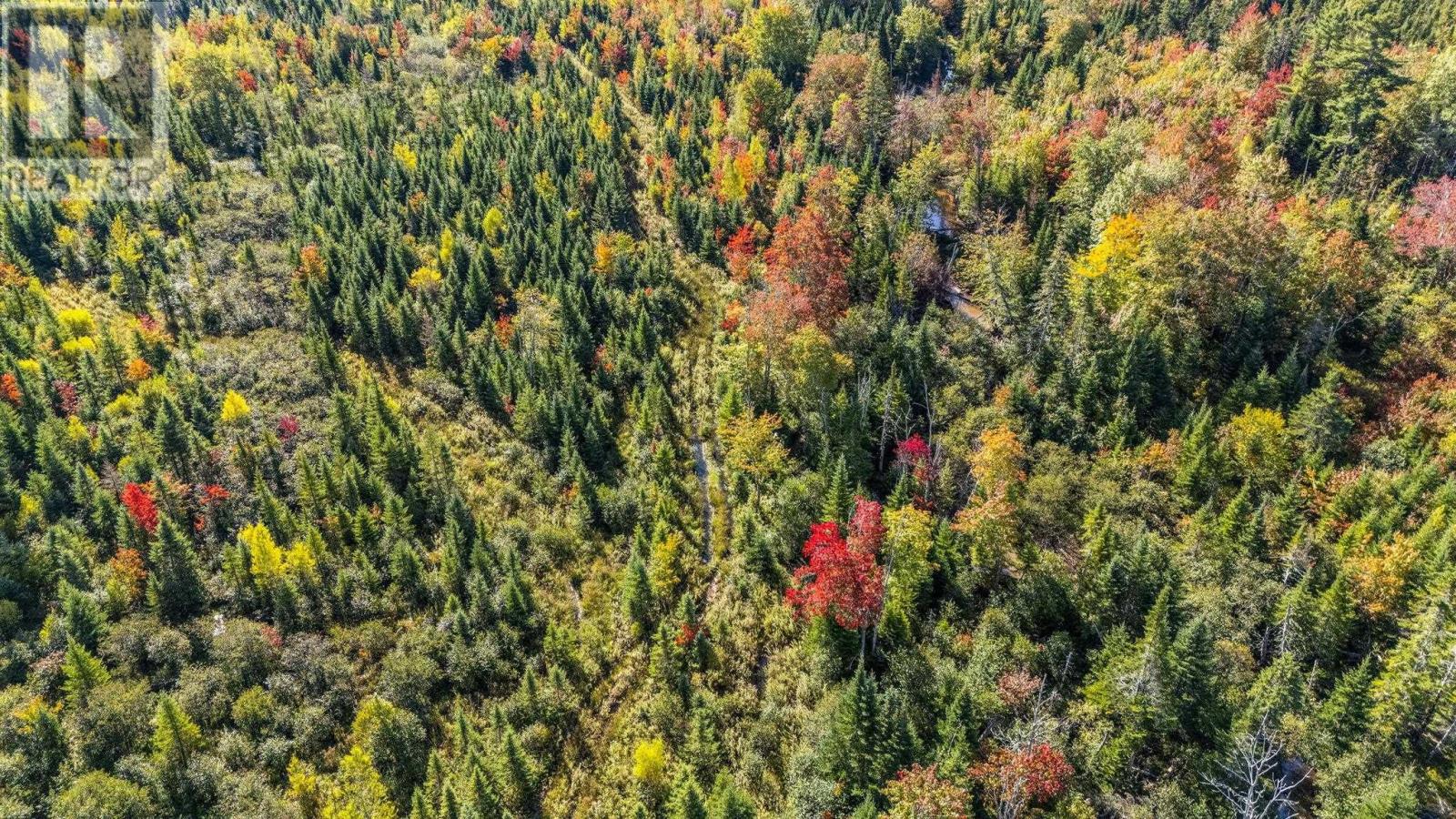 Lot Cloverdale Road, Cloverdale, Nova Scotia  B0N 2J0 - Photo 17 - 202524530