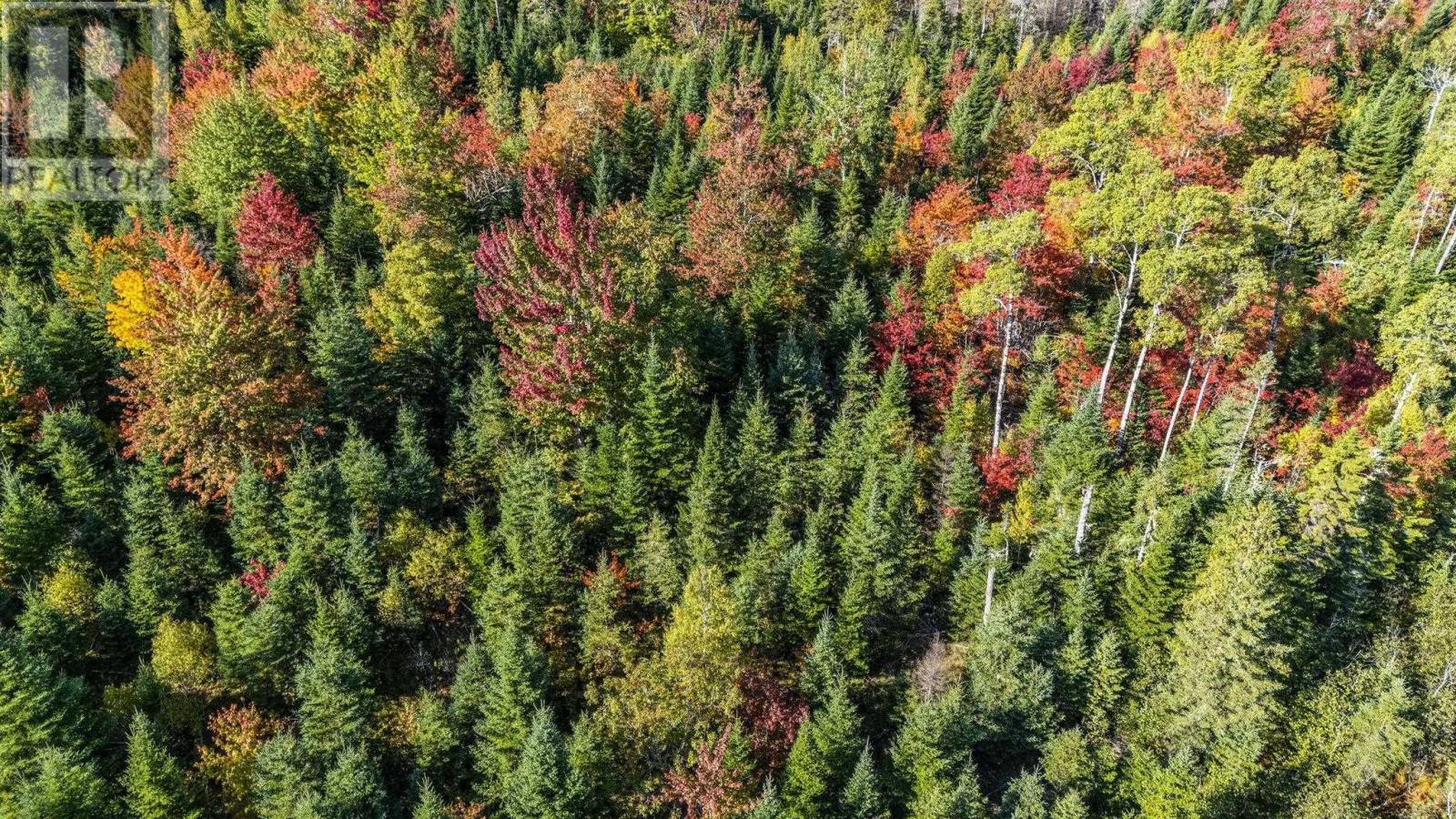 Lot Cloverdale Road, Cloverdale, Nova Scotia  B0N 2J0 - Photo 22 - 202524530