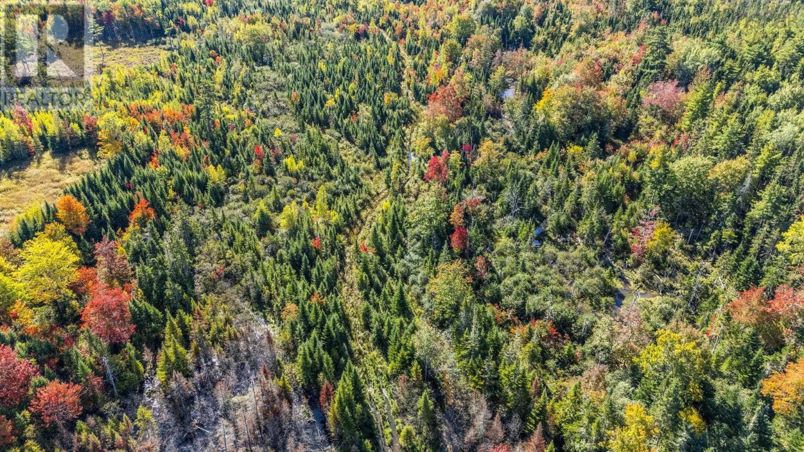 Lot Cloverdale Road, Cloverdale, Nova Scotia  B0N 2J0 - Photo 16 - 202524530
