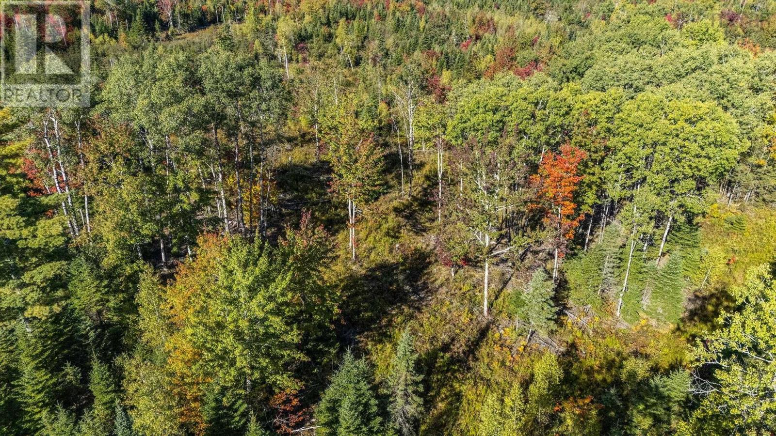 Lot Cloverdale Road, Cloverdale, Nova Scotia  B0N 2J0 - Photo 24 - 202524530
