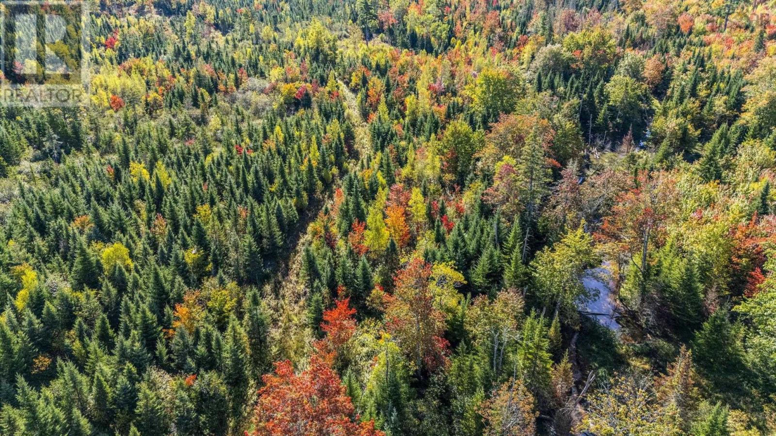 Lot Cloverdale Road, Cloverdale, Nova Scotia  B0N 2J0 - Photo 18 - 202524530