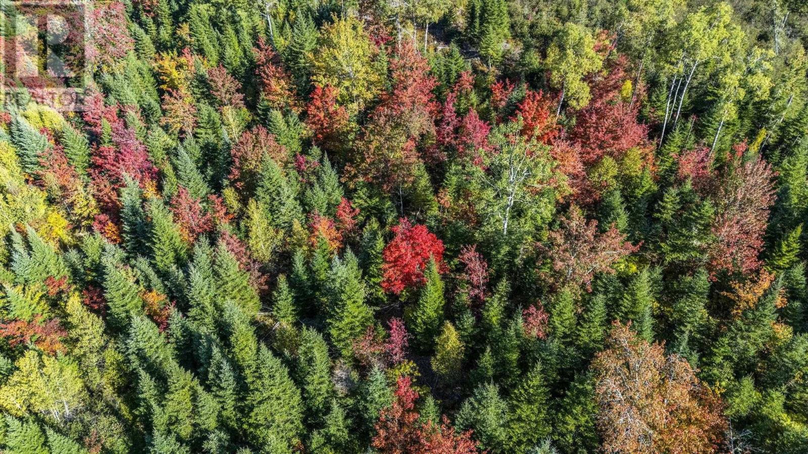 Lot Cloverdale Road, Cloverdale, Nova Scotia  B0N 2J0 - Photo 21 - 202524530
