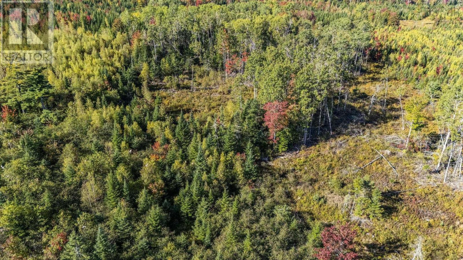 Lot Cloverdale Road, Cloverdale, Nova Scotia  B0N 2J0 - Photo 25 - 202524530