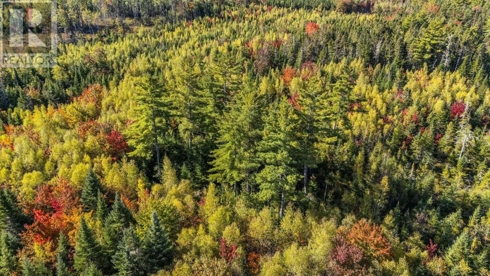 Lot Cloverdale Road, Cloverdale, Nova Scotia  B0N 2J0 - Photo 28 - 202524530