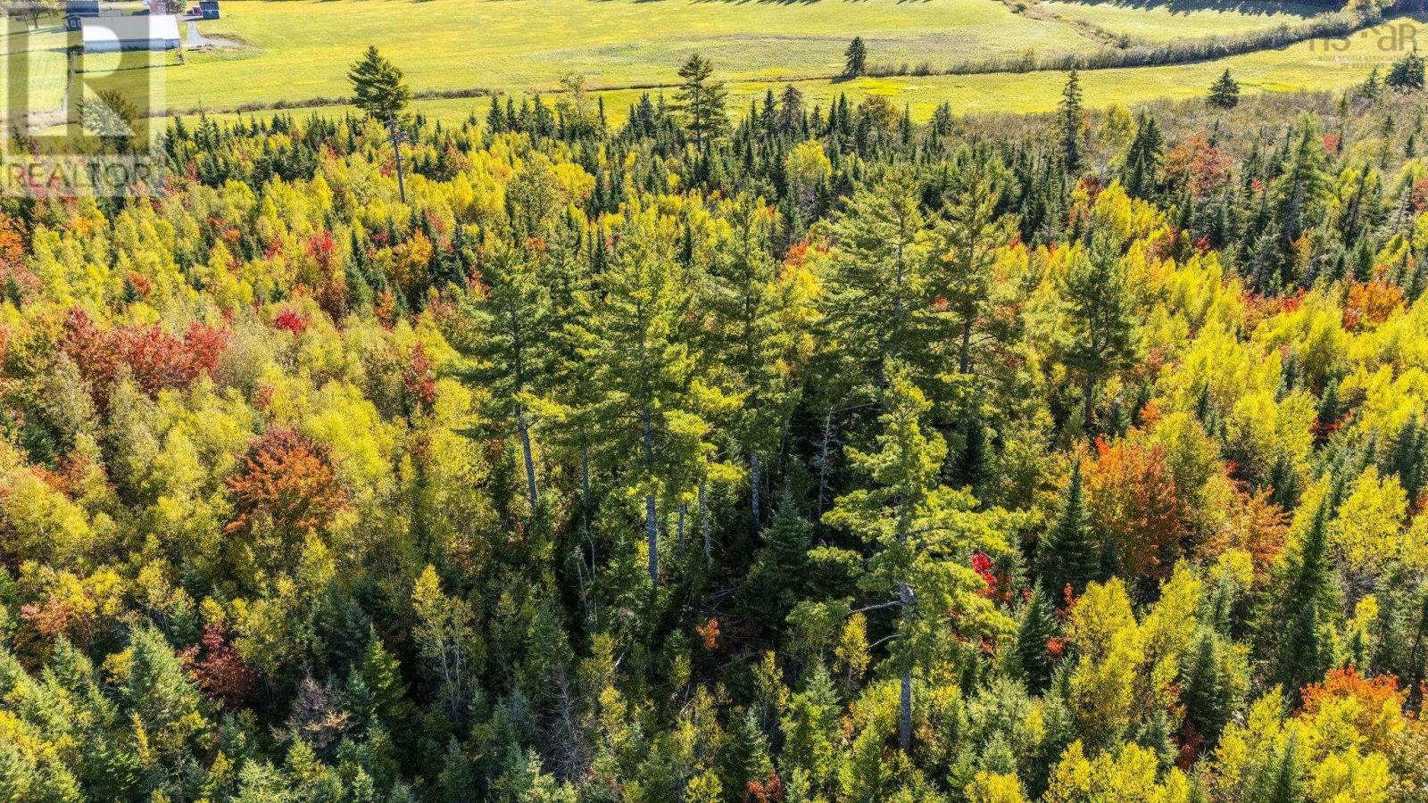 Lot Cloverdale Road, Cloverdale, Nova Scotia  B0N 2J0 - Photo 29 - 202524530