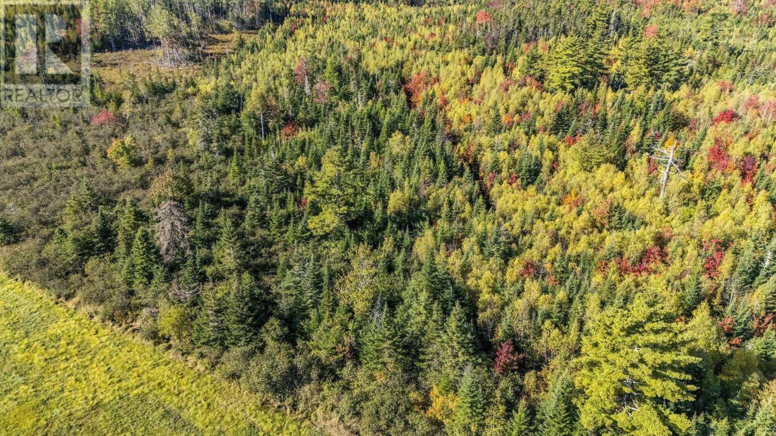 Lot Cloverdale Road, Cloverdale, Nova Scotia  B0N 2J0 - Photo 27 - 202524530