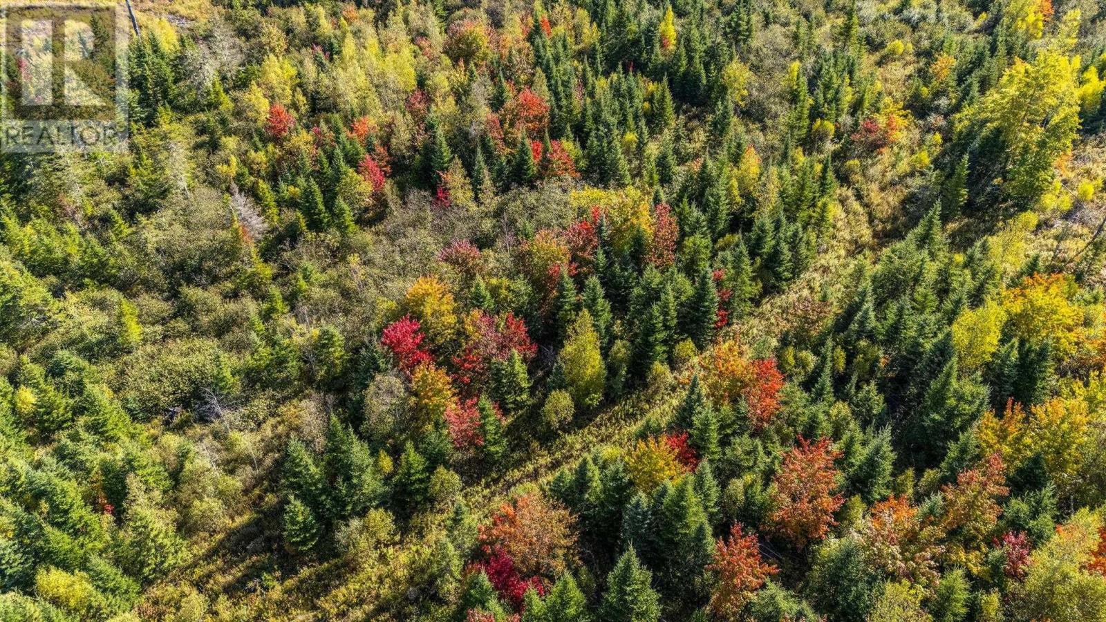 Lot Cloverdale Road, Cloverdale, Nova Scotia  B0N 2J0 - Photo 19 - 202524530
