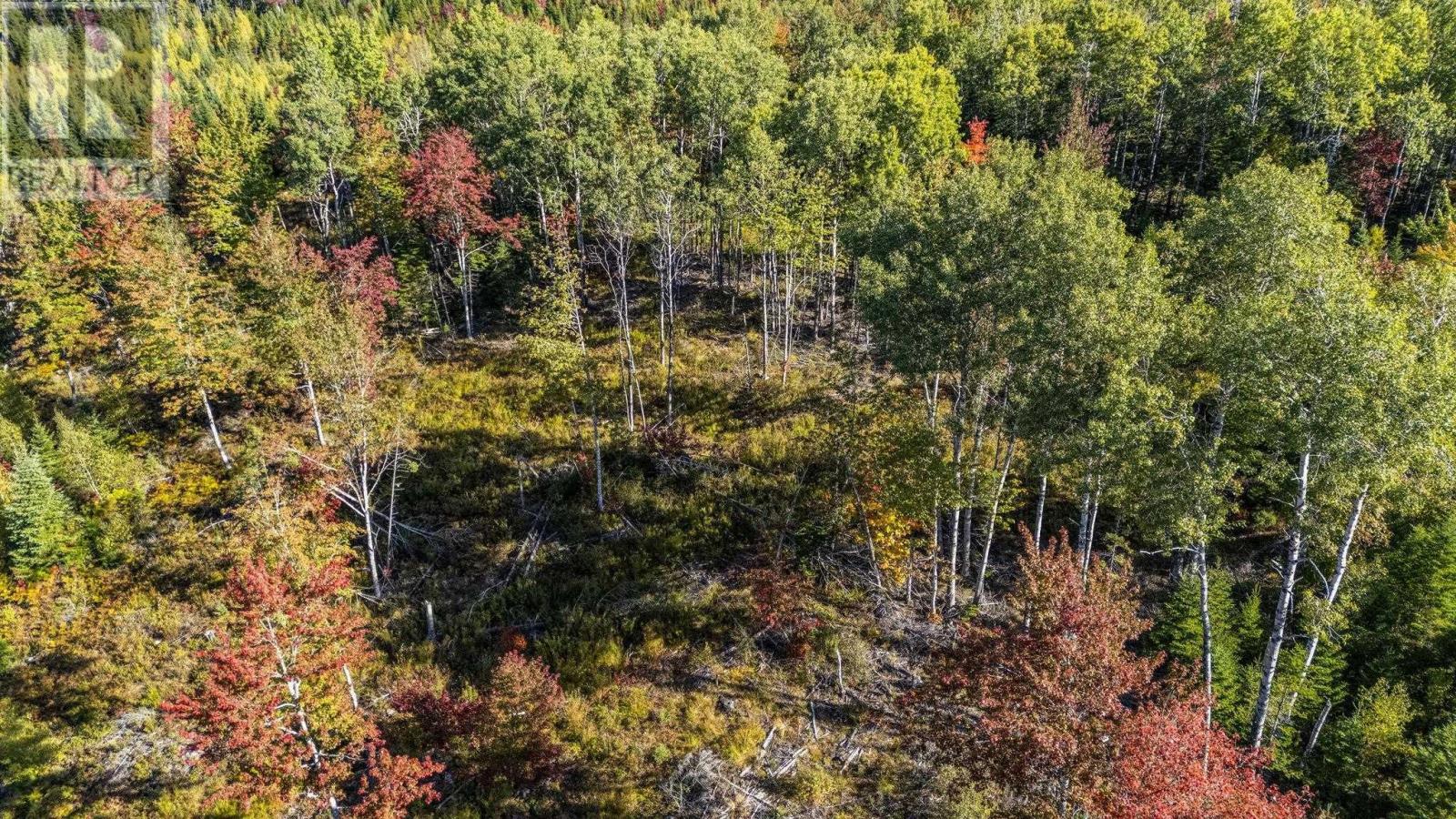 Lot Cloverdale Road, Cloverdale, Nova Scotia  B0N 2J0 - Photo 23 - 202524530