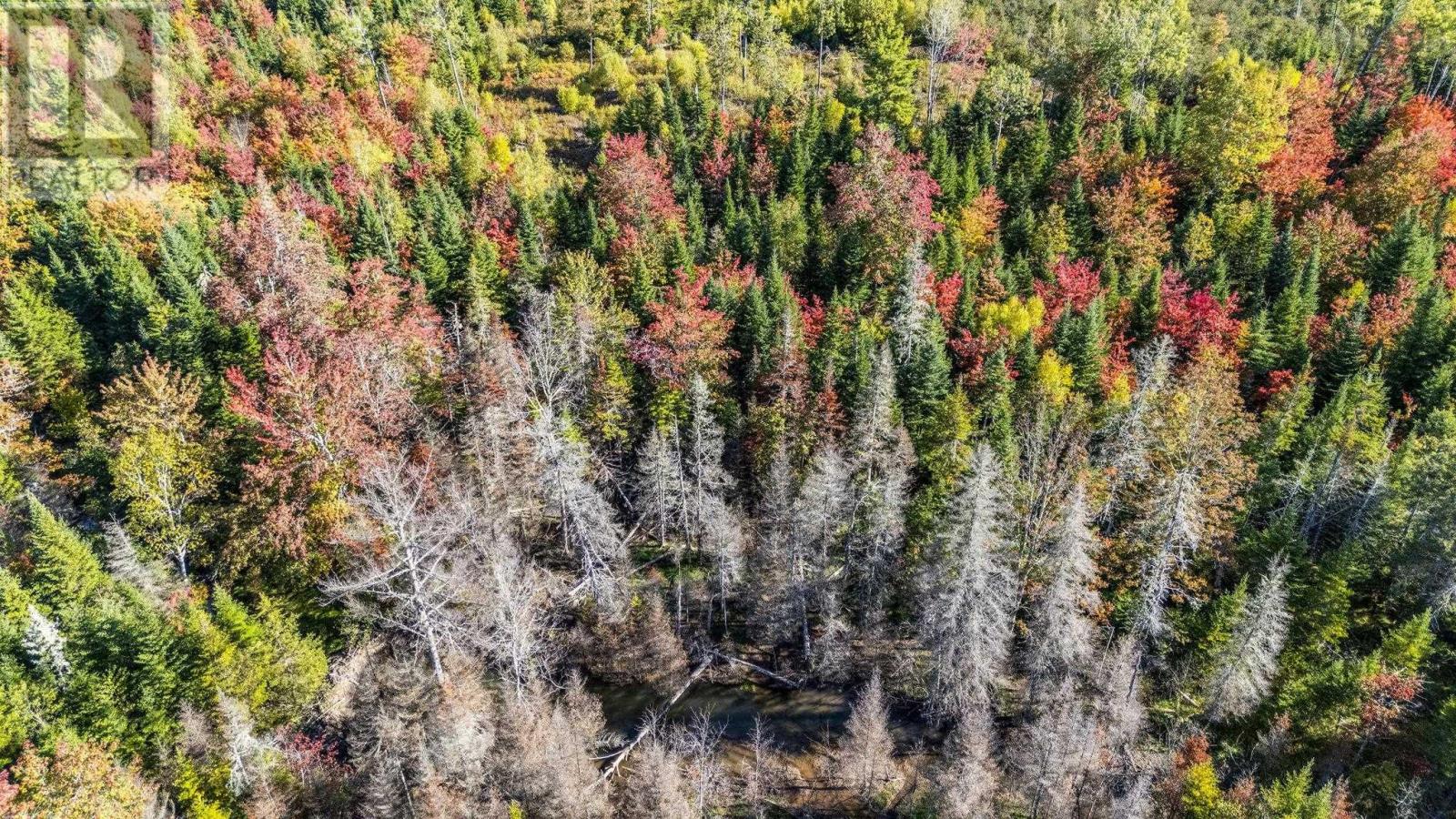 Lot Cloverdale Road, Cloverdale, Nova Scotia  B0N 2J0 - Photo 20 - 202524530