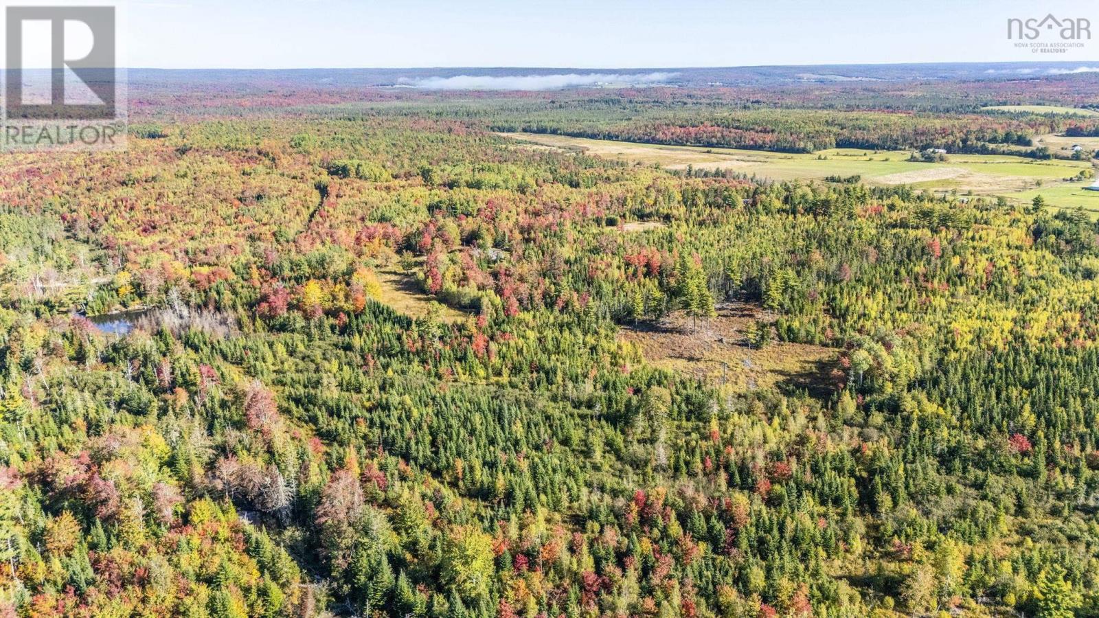Lot Cloverdale Road, Cloverdale, Nova Scotia  B0N 2J0 - Photo 6 - 202524530