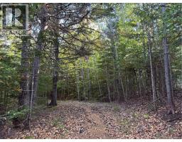 Lot Cleveland Road, Shepody, New Brunswick