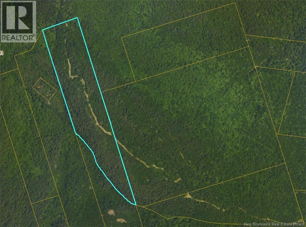 Lots Mountville, Shepody, New Brunswick  E4H 4J7 - Photo 5 - NB127929