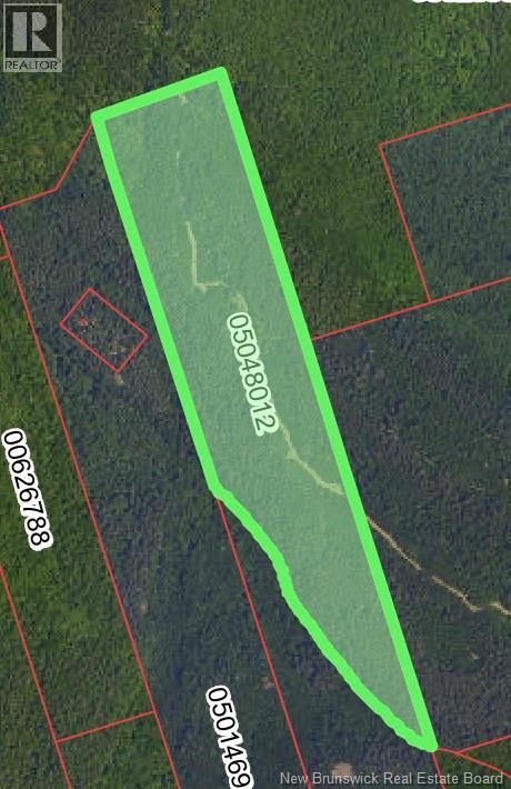 Lots Mountville, Shepody, New Brunswick  E4H 4J7 - Photo 8 - NB127929