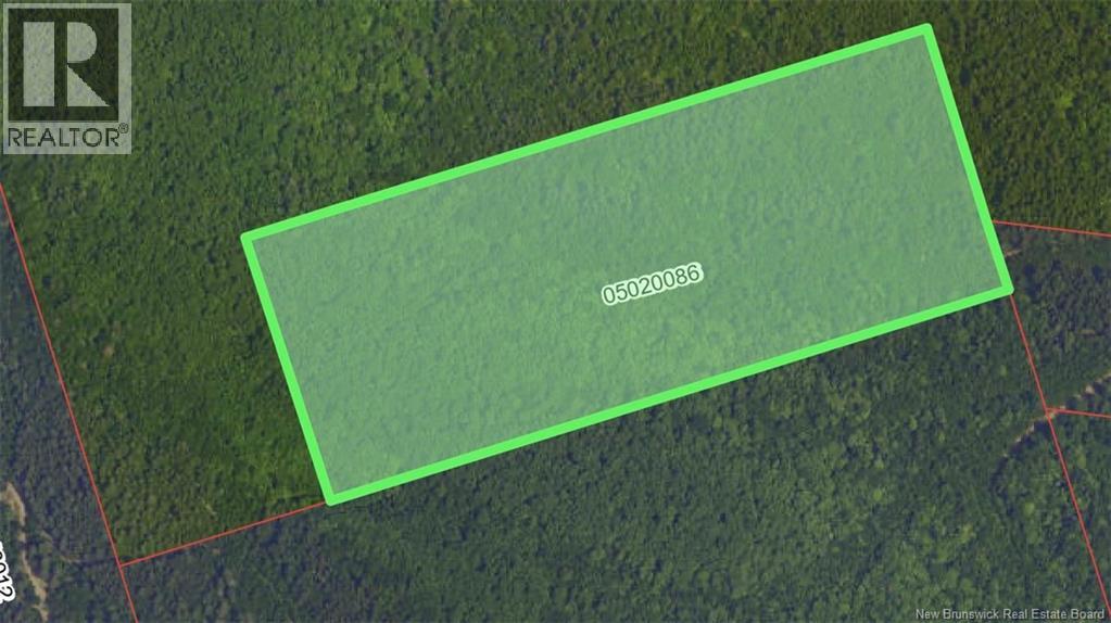 Lots Mountville, Shepody, New Brunswick  E4H 4J7 - Photo 7 - NB127929