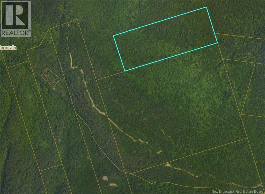 Lots Mountville, Shepody, New Brunswick  E4H 4J7 - Photo 4 - NB127929