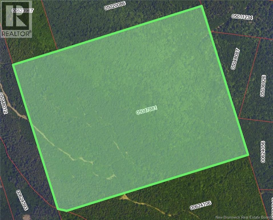 Lots Mountville, Shepody, New Brunswick  E4H 4J7 - Photo 6 - NB127929