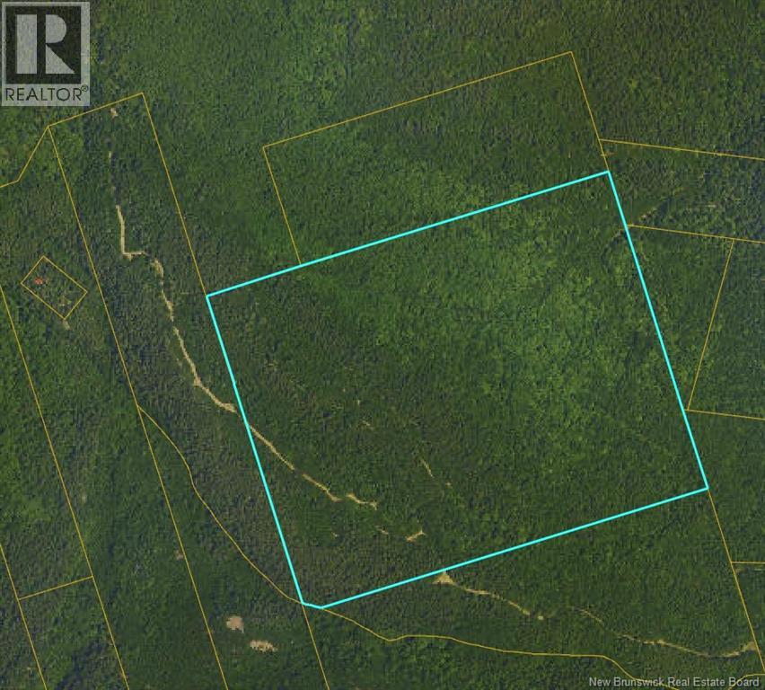 Lots Mountville, Shepody, New Brunswick  E4H 4J7 - Photo 3 - NB127929
