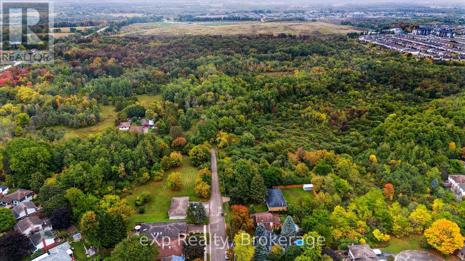 44 Hyland Road, Guelph, Ontario  N1E 1T3 - Photo 4 - X12446191