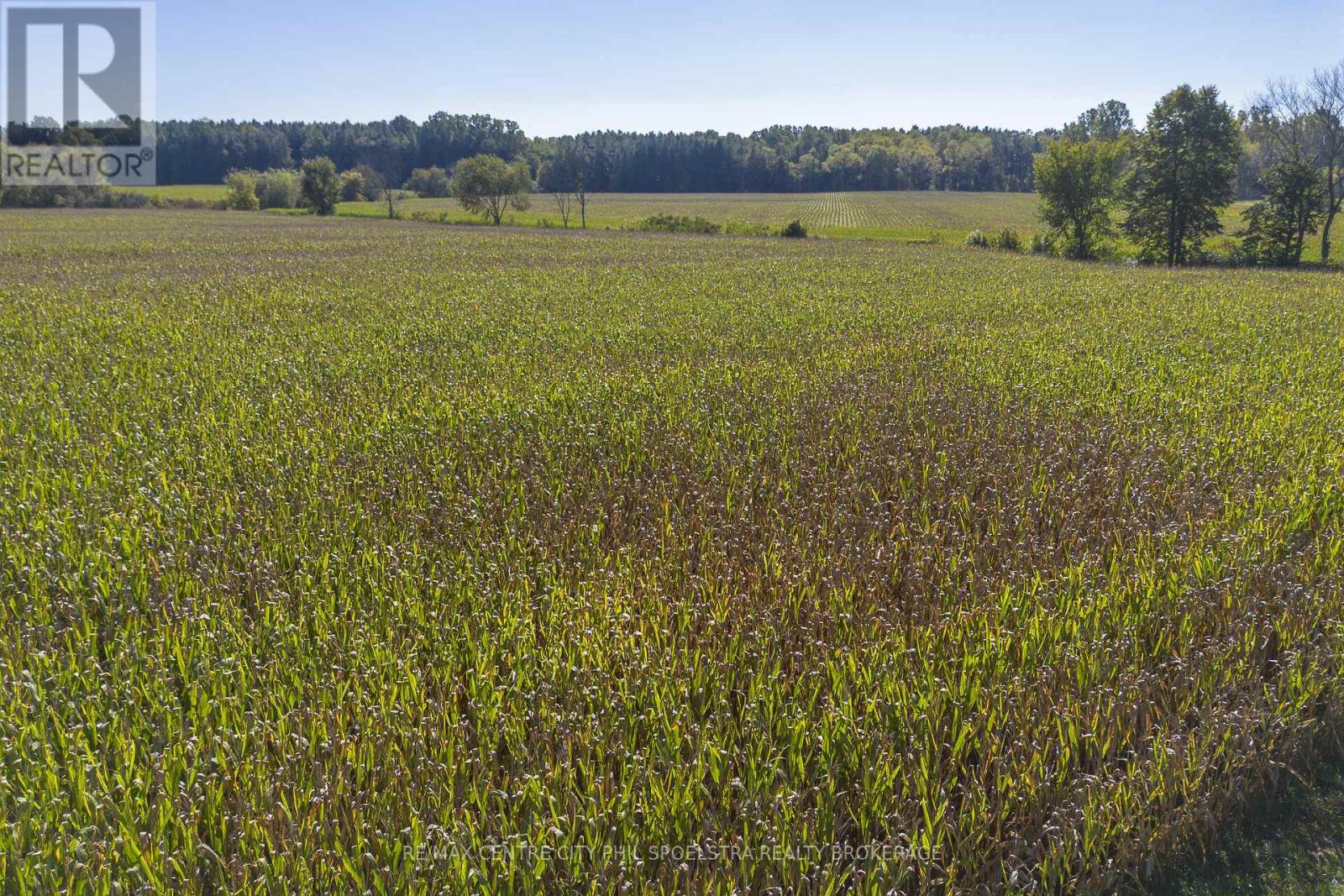 Lt 22 Conc 3 Coltsfoot Drive, Southwest Middlesex, Ontario  N0L 1Z0 - Photo 17 - X12446224