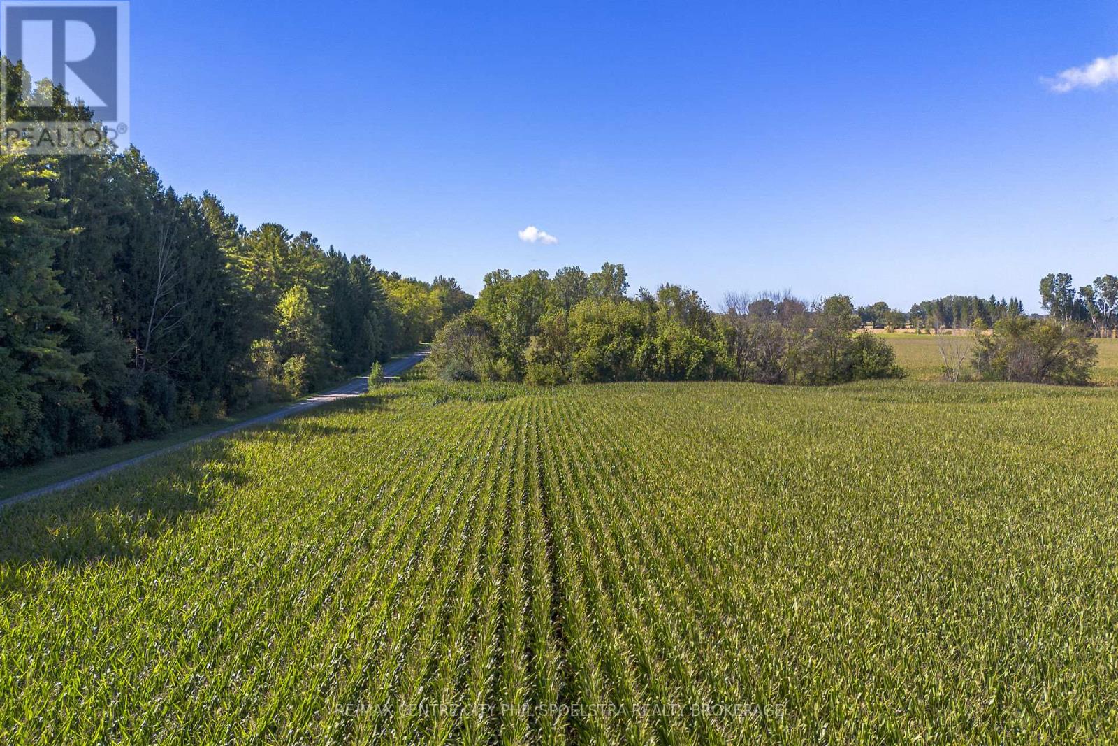 Lt 22 Conc 3 Coltsfoot Drive, Southwest Middlesex, Ontario  N0L 1Z0 - Photo 20 - X12446224