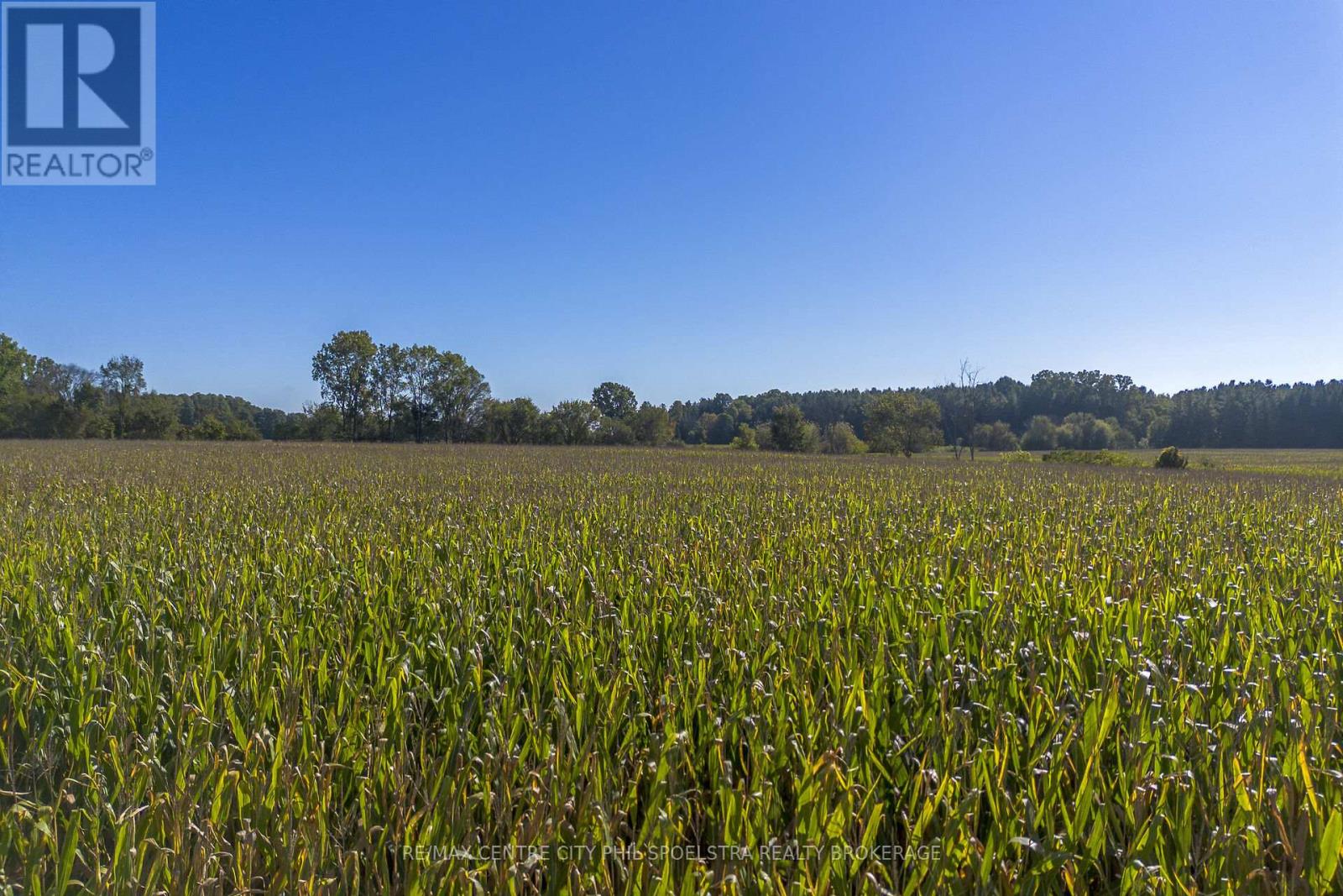Lt 22 Conc 3 Coltsfoot Drive, Southwest Middlesex, Ontario  N0L 1Z0 - Photo 8 - X12446224