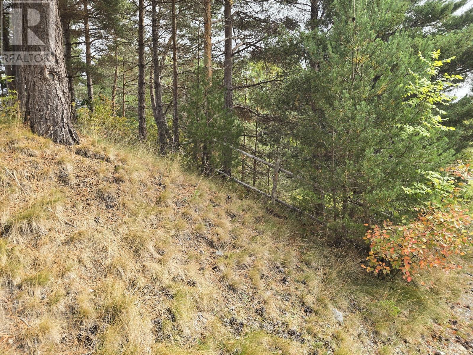 5-7, 8 Spracklins Lane, Brigus, Newfoundland & Labrador  A0A 1K0 - Photo 20 - 1291241