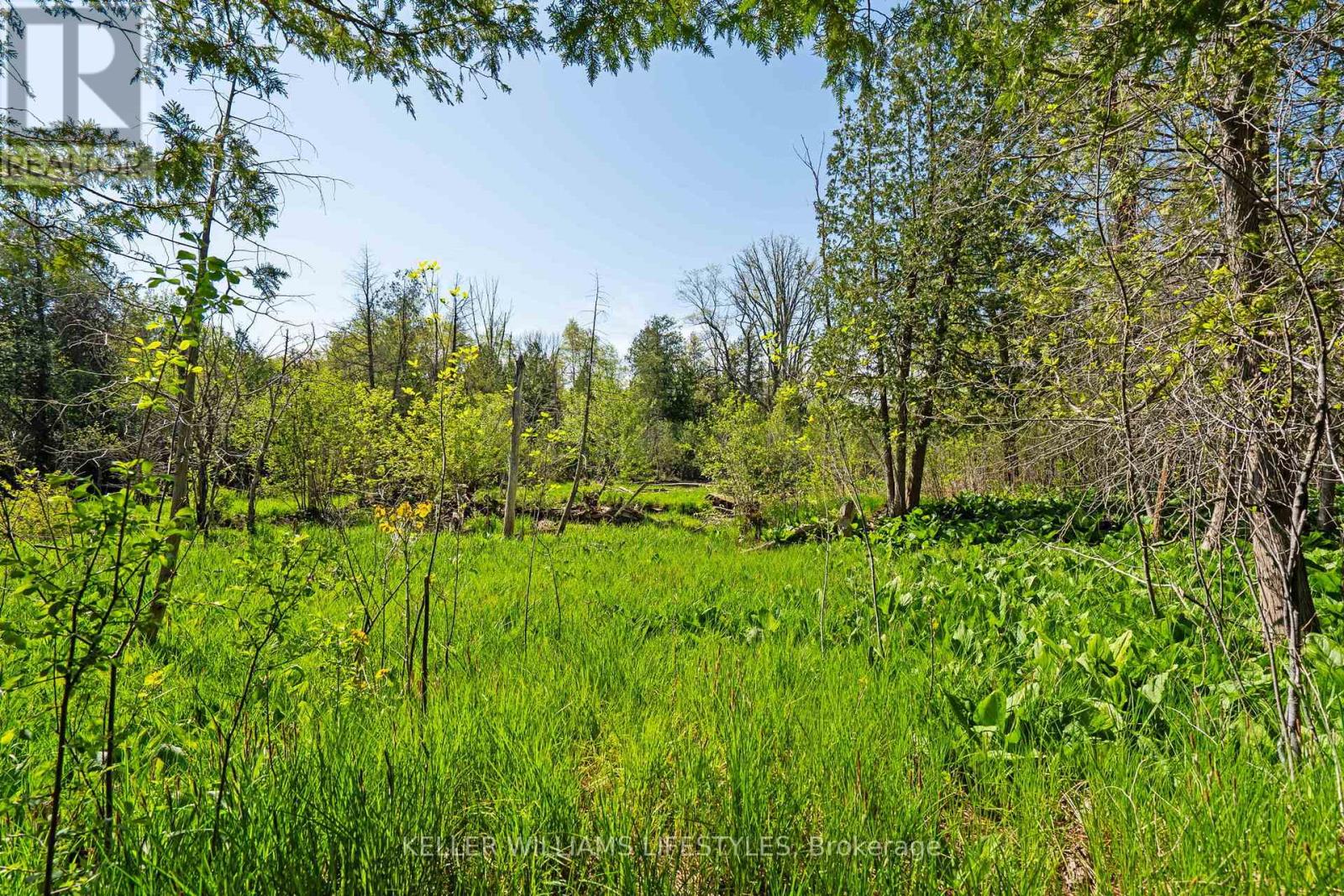 15083 Medway Road, Middlesex Centre, Ontario  N0M 1C0 - Photo 48 - X12446266