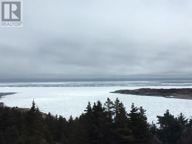 4 Wildberry Ridge, Flatrock, Newfoundland & Labrador  A1K 0M6 - Photo 10 - 1291248