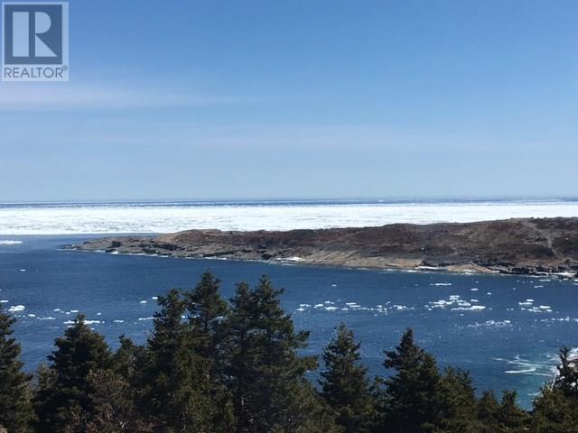 4 Wildberry Ridge, Flatrock, Newfoundland & Labrador  A1K 0M6 - Photo 11 - 1291248