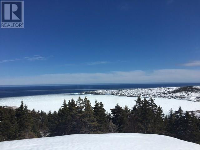 4 Wildberry Ridge, Flatrock, Newfoundland & Labrador  A1K 0M6 - Photo 7 - 1291248