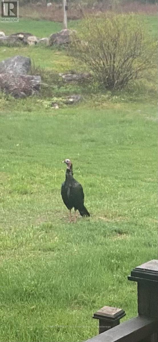 400 Bomarc Road, North Bay, Ontario  P1B 8G3 - Photo 46 - X12446361