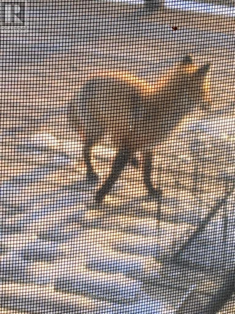 400 Bomarc Road, North Bay, Ontario  P1B 8G3 - Photo 48 - X12446361