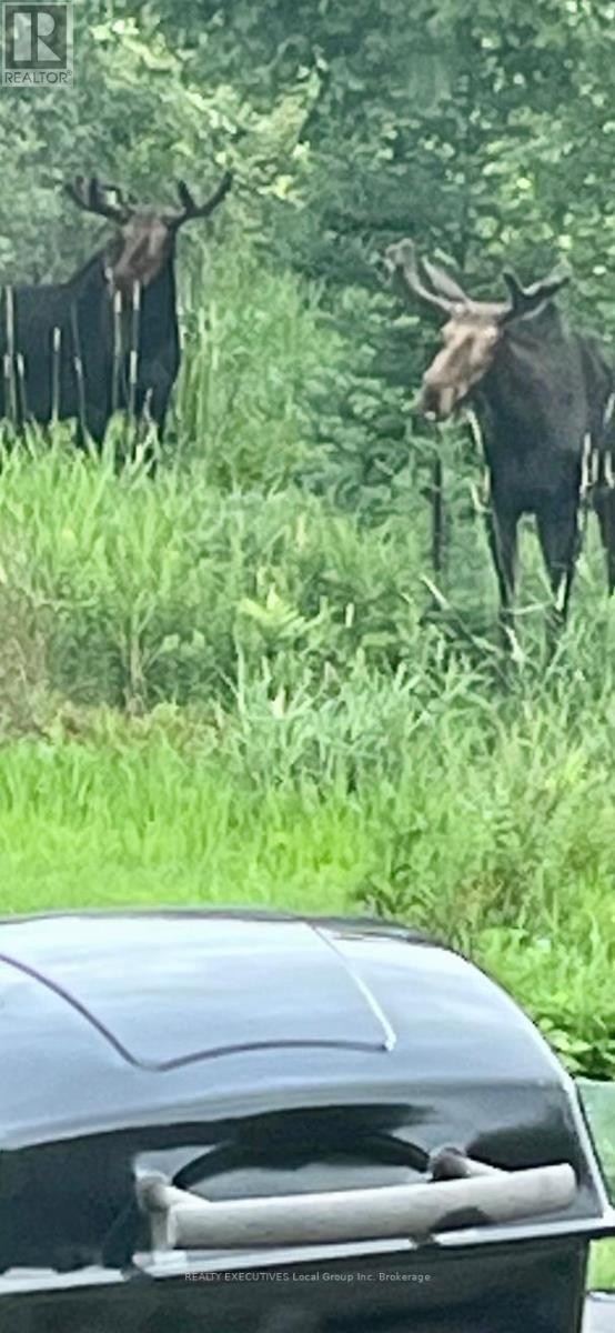 400 Bomarc Road, North Bay, Ontario  P1B 8G3 - Photo 49 - X12446361