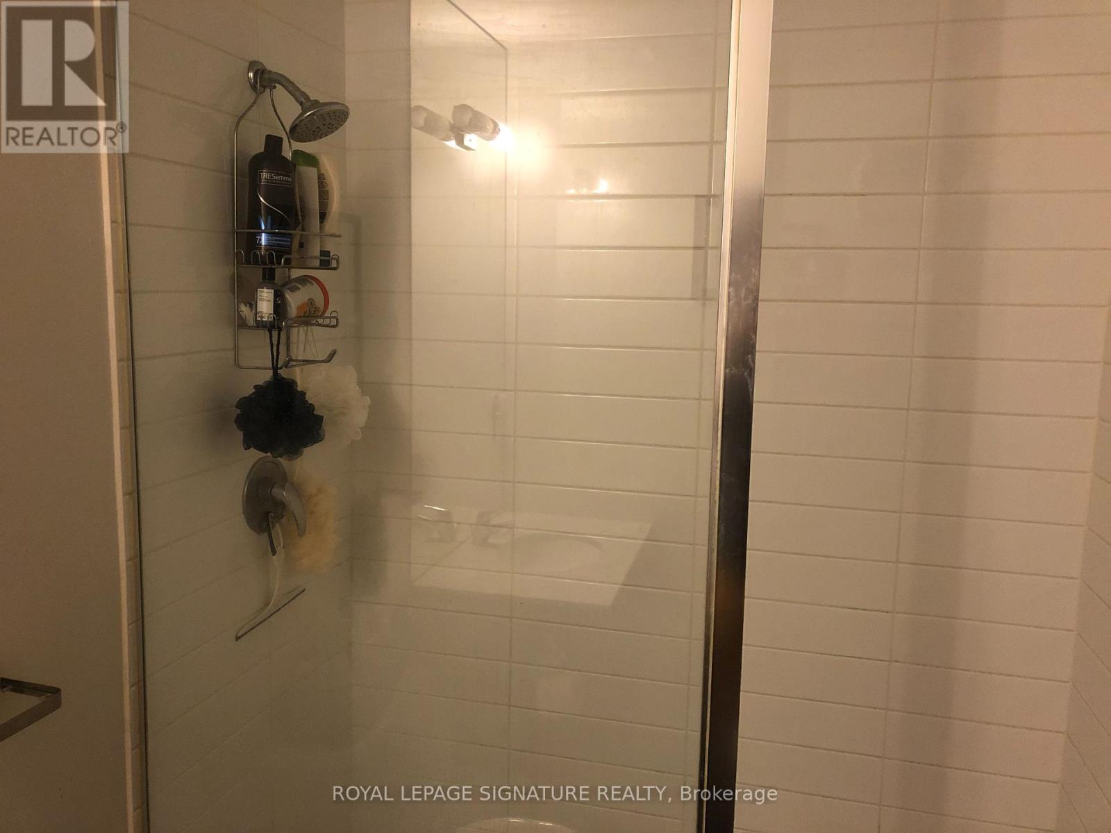 815 - 55 East Liberty Street, Toronto, Ontario  M6K 3P9 - Photo 7 - C12446329