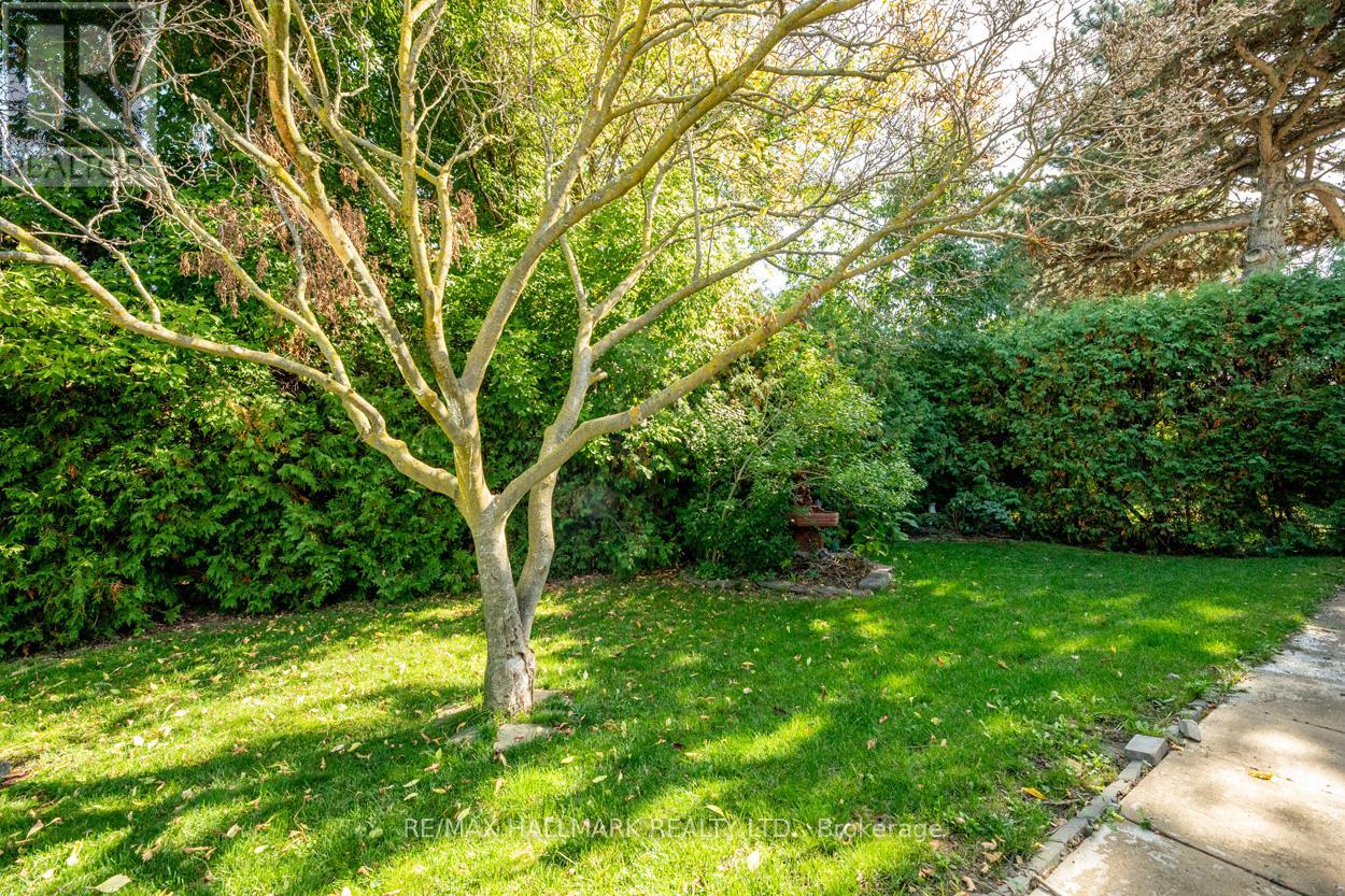 55 Wexford Boulevard, Toronto (Wexford-Maryvale), Ontario  M1R 1L2 - Photo 23 - E12446452