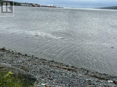 6-8 Old Water Street, Harbour Grace, Newfoundland & Labrador  A0A 2M0 - Photo 1 - 1291249