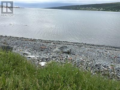 6-8 Old Water Street, Harbour Grace, Newfoundland & Labrador  A0A 2M0 - Photo 2 - 1291249