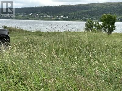 6-8 Old Water Street, Harbour Grace, Newfoundland & Labrador  A0A 2M0 - Photo 5 - 1291249