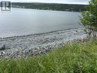 6-8 Old Water Street, Harbour Grace, Newfoundland & Labrador  A0A 2M0 - Photo 6 - 1291249