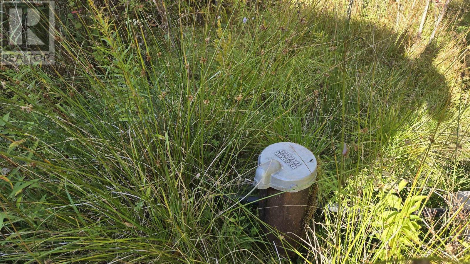 2365 Lilyvale Road, Greenfield, Nova Scotia  B6L 3T9 - Photo 5 - 202525183