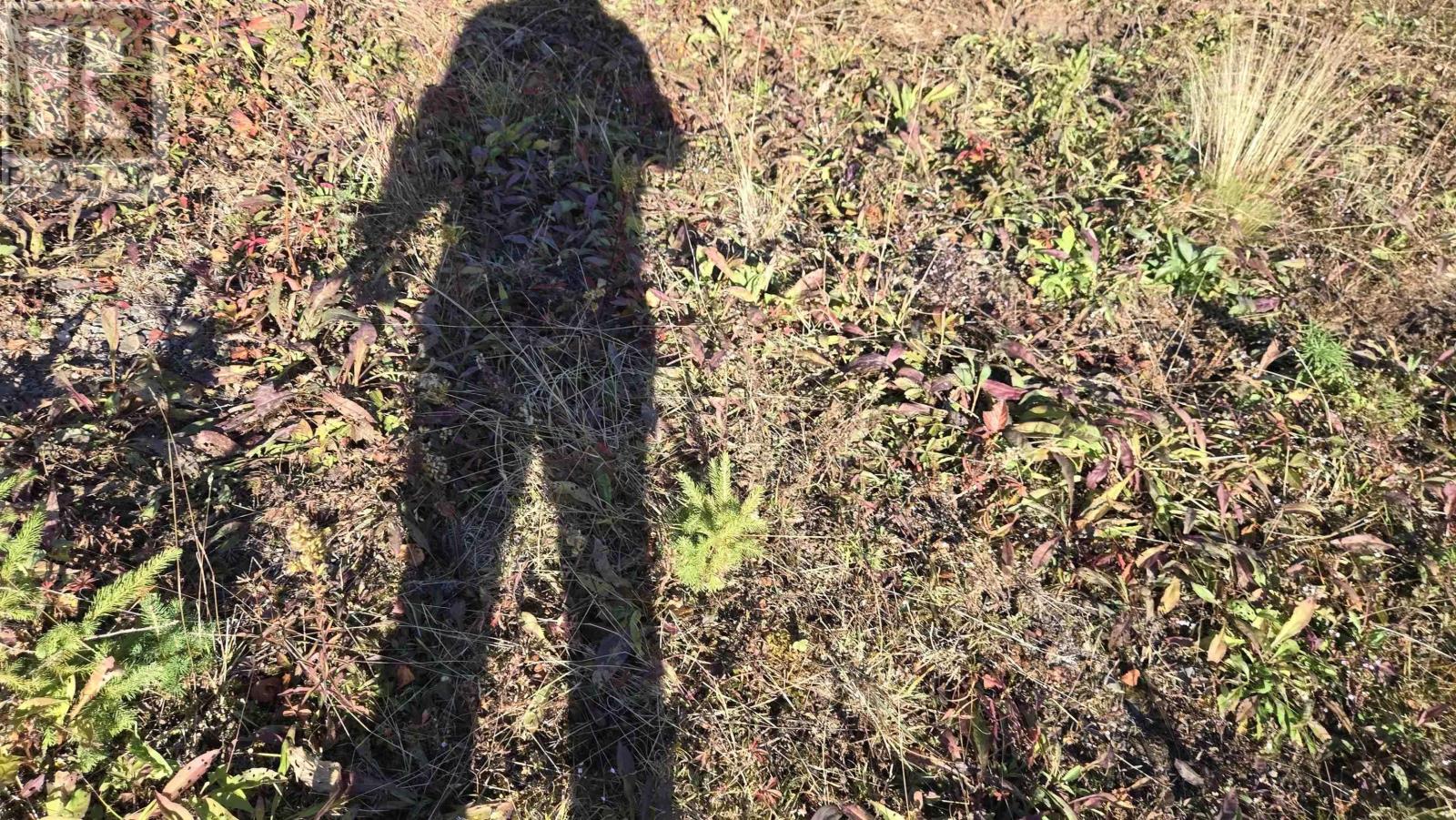 2365 Lilyvale Road, Greenfield, Nova Scotia  B6L 3T9 - Photo 8 - 202525183