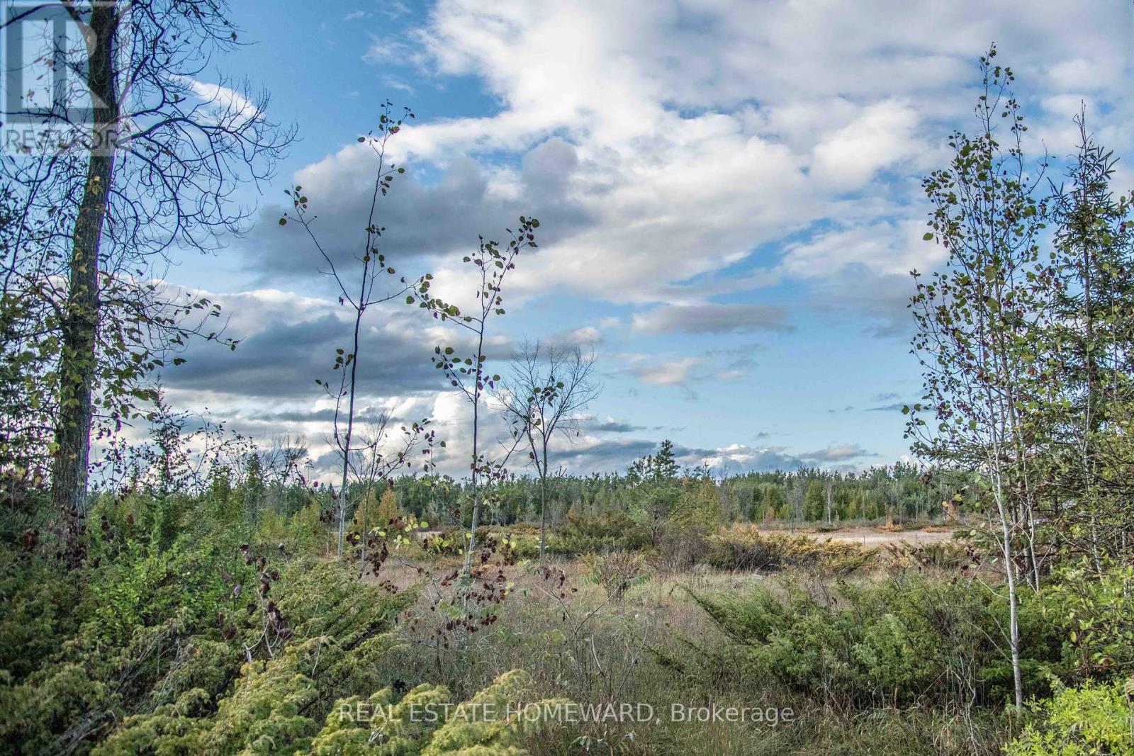 LOT 254 MCGUIRE BEACH ROAD, Kawartha Lakes, Ontario