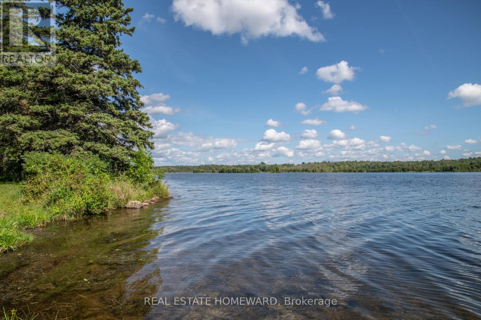 Lot 254 Mcguire Beach Road, Kawartha Lakes, Ontario  K0M 2B0 - Photo 11 - X12446377