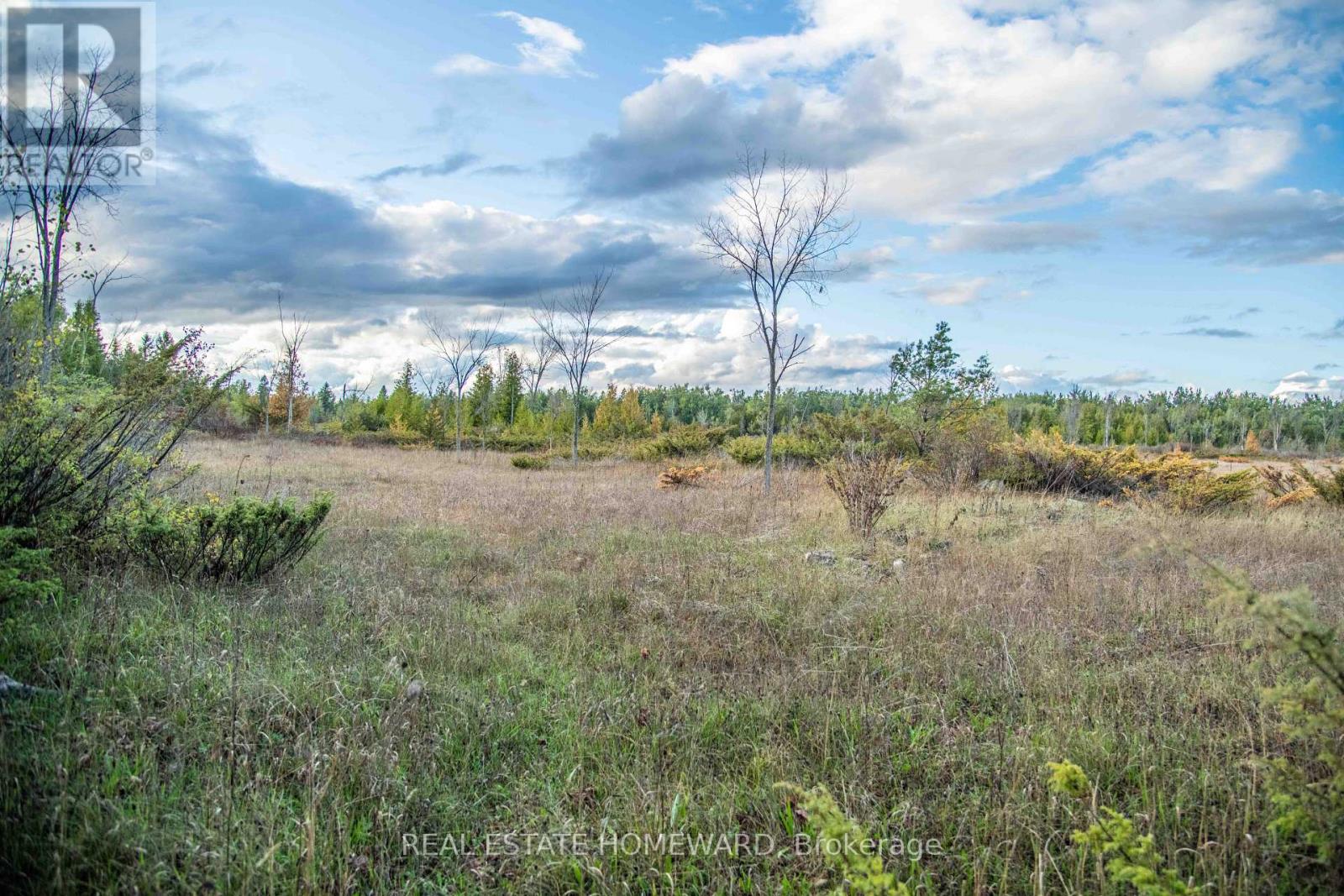 Lot 254 Mcguire Beach Road, Kawartha Lakes, Ontario  K0M 2B0 - Photo 3 - X12446377
