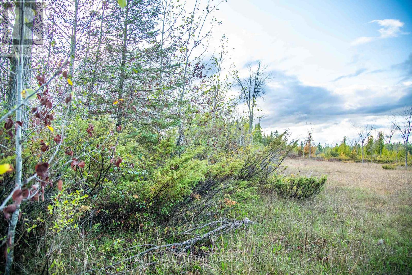Lot 254 Mcguire Beach Road, Kawartha Lakes, Ontario  K0M 2B0 - Photo 4 - X12446377