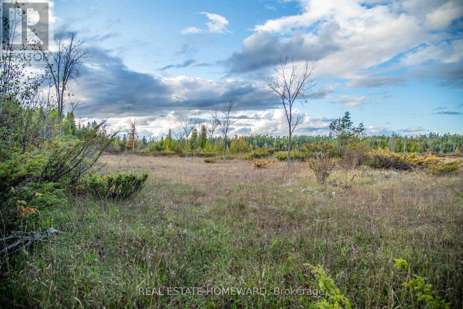 Lot 254 Mcguire Beach Road, Kawartha Lakes, Ontario  K0M 2B0 - Photo 5 - X12446377