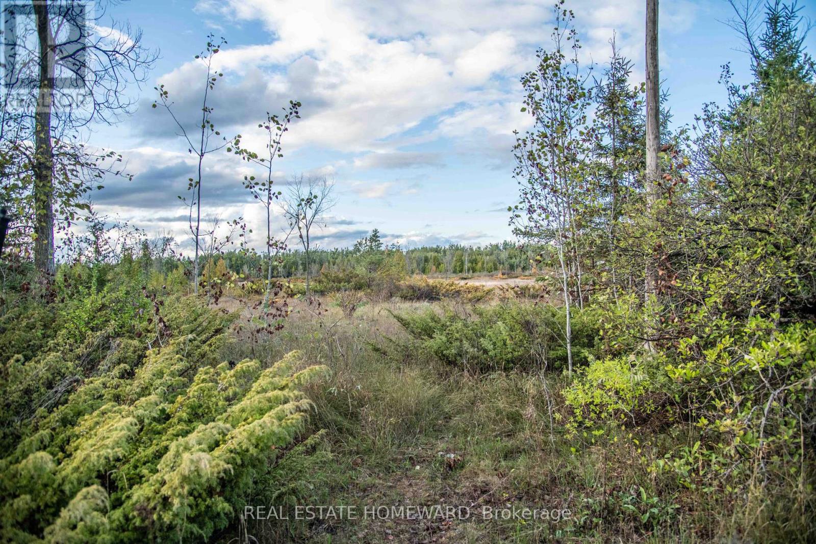 Lot 254 Mcguire Beach Road, Kawartha Lakes, Ontario  K0M 2B0 - Photo 7 - X12446377