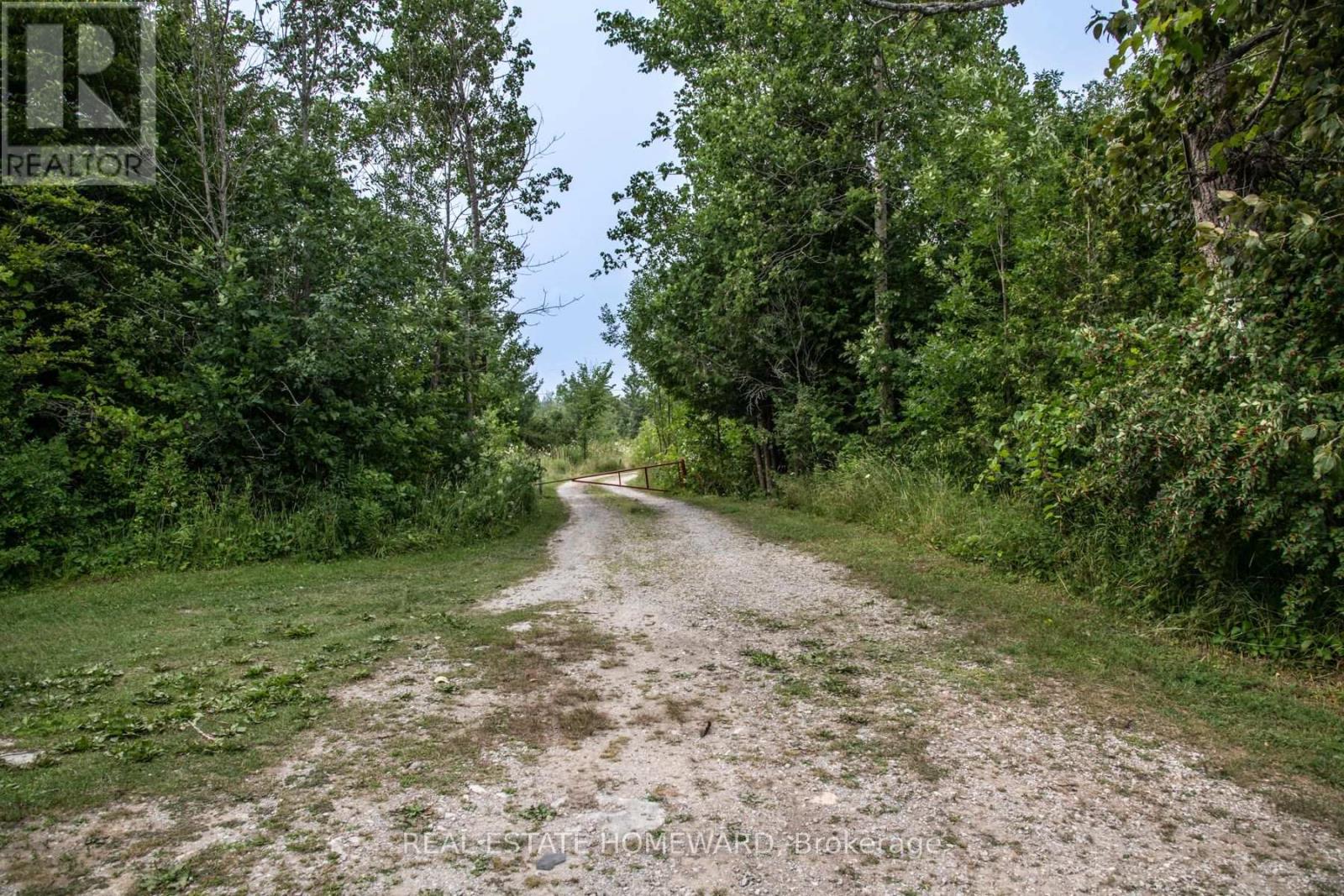 Lot 254 Mcguire Beach Road, Kawartha Lakes, Ontario  K0M 2B0 - Photo 8 - X12446377